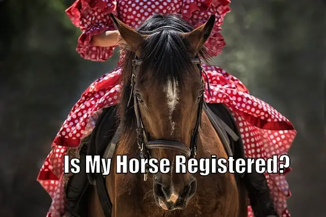 Canadian Thoroughbred Horse Society