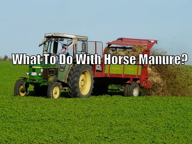 horse manure spreader