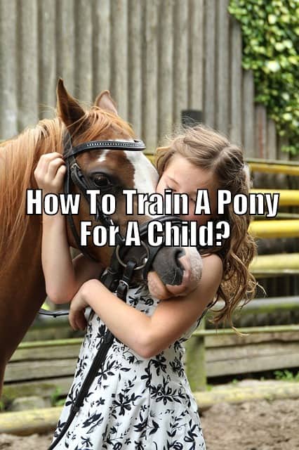 training a pony