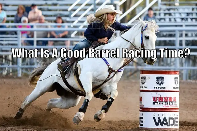 What Is A Good Barrel Racing Time Barrel Racing Rules And Facts Horse Faq S