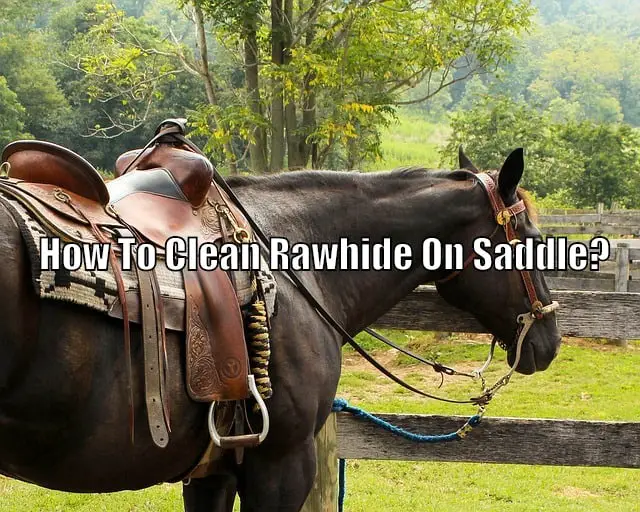 saddle cleaning