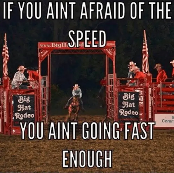 Barrel_Racing_Quotes_10 – Horse FAQ’s