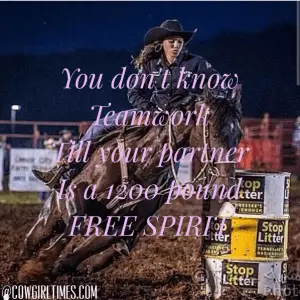 Best Barrel Racing Quotes (Top Voted Sayings For Barrel Racers 2020 ...