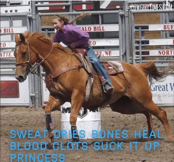 Best Barrel Racing Quotes Top Voted Sayings For Barrel Racers 2020   Barrel Racing Quotes 13 