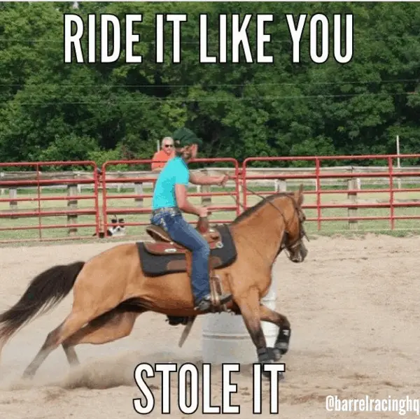 Barrel_Racing_Quotes_4 – Horse FAQ’s