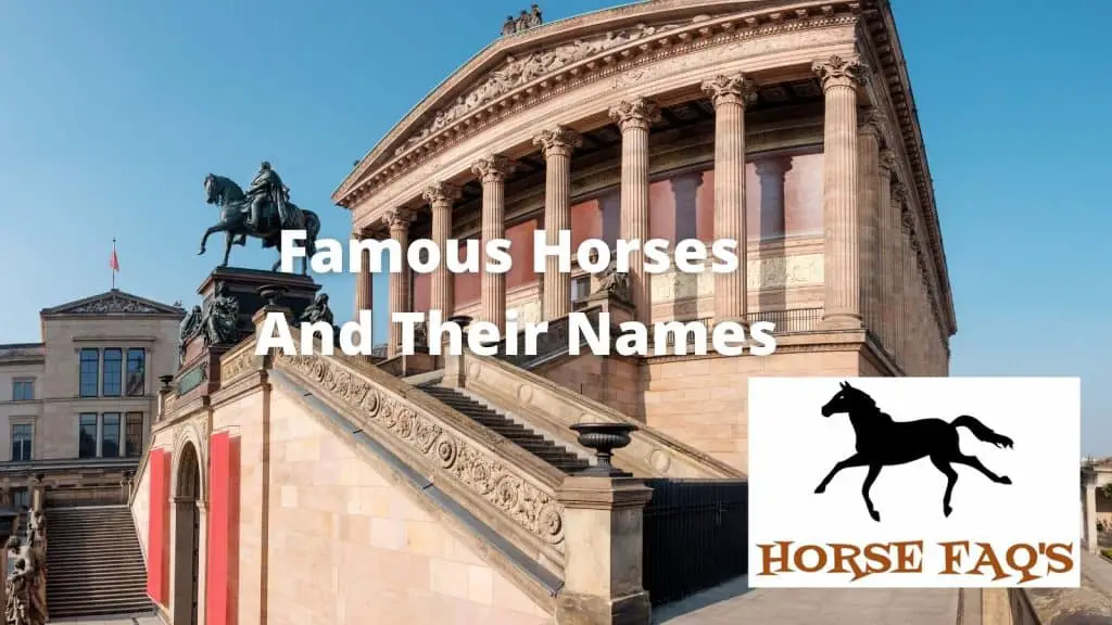 famous-horse-names-horse-faq-s