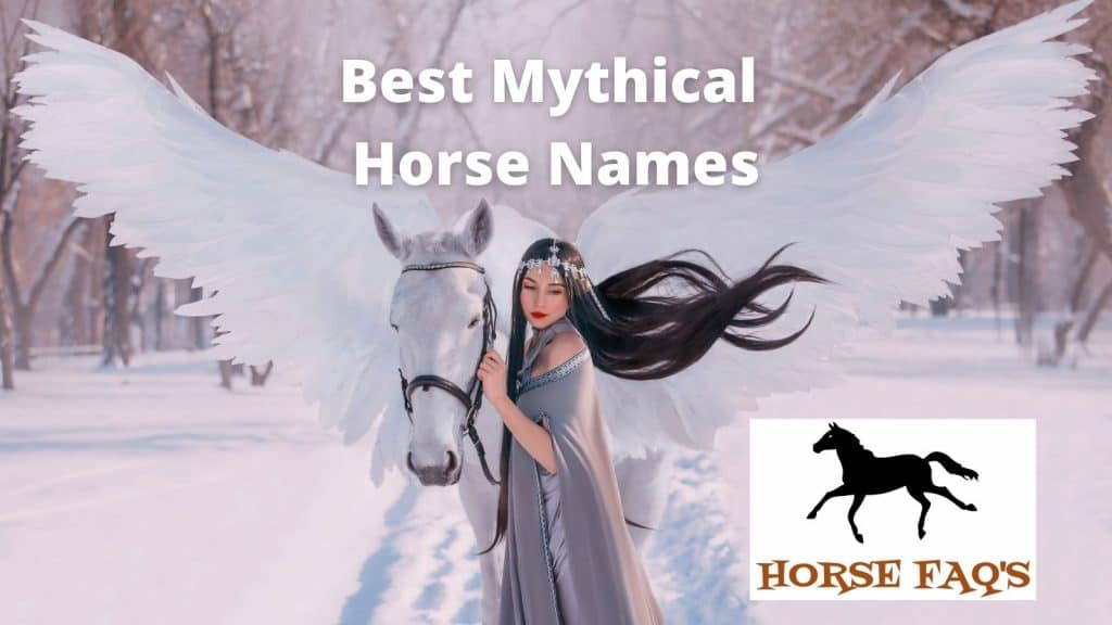 Best Mythical Horse Names – Horse FAQ’s