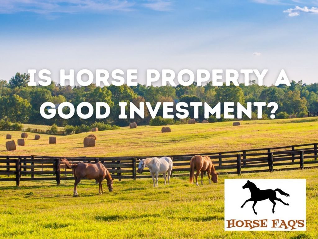 Is Horse Property A Good Investment? Horse FAQ’s