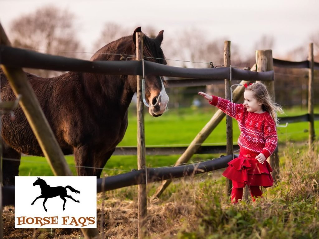 Is A Horse Farm A Good Investment