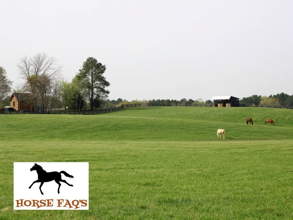 Is A Horse Farm A Good Investment